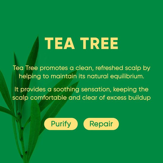 Aromatica Tea Tree Purifying Shampoo