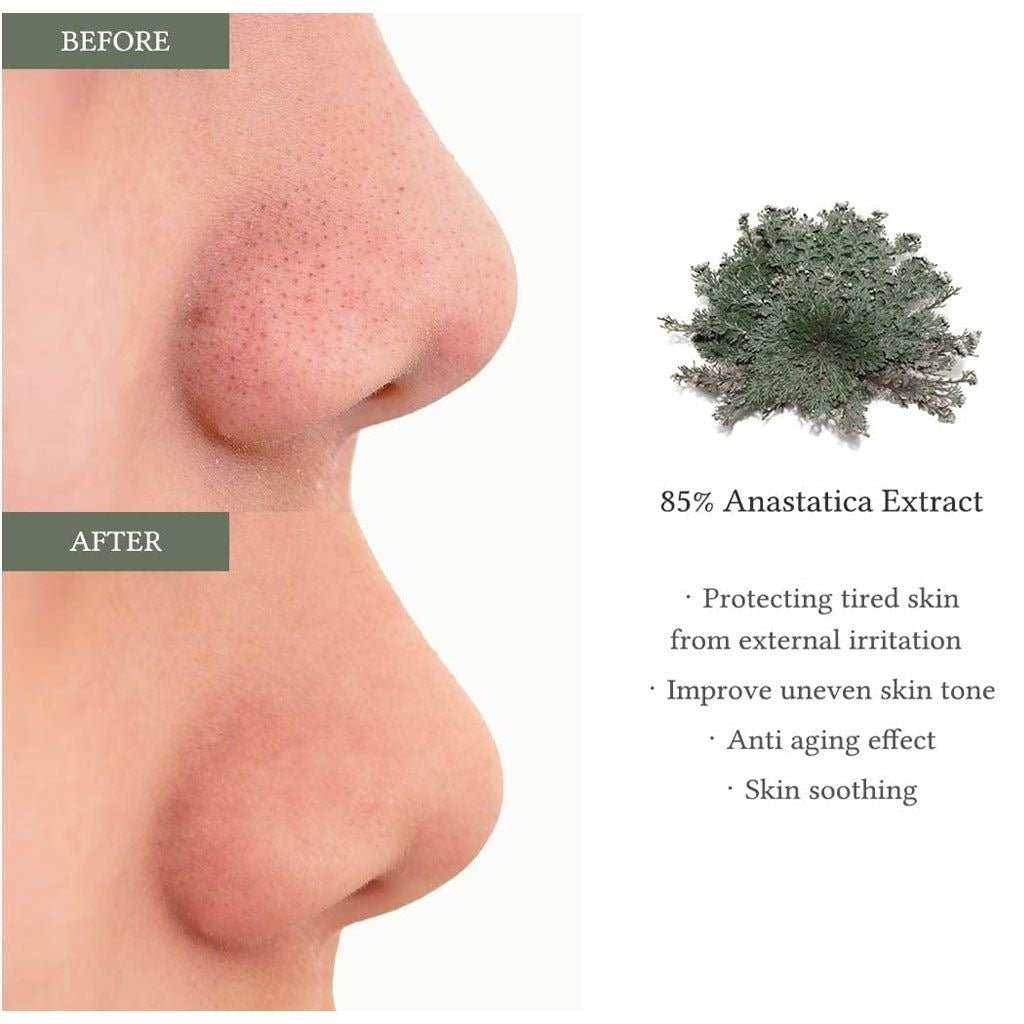 Dr. Althea Anastatica Skin Conditioning Toner